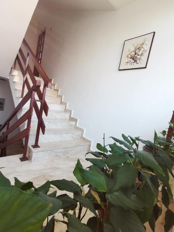 Apartment Kamen Novi Vinodolski Exterior photo